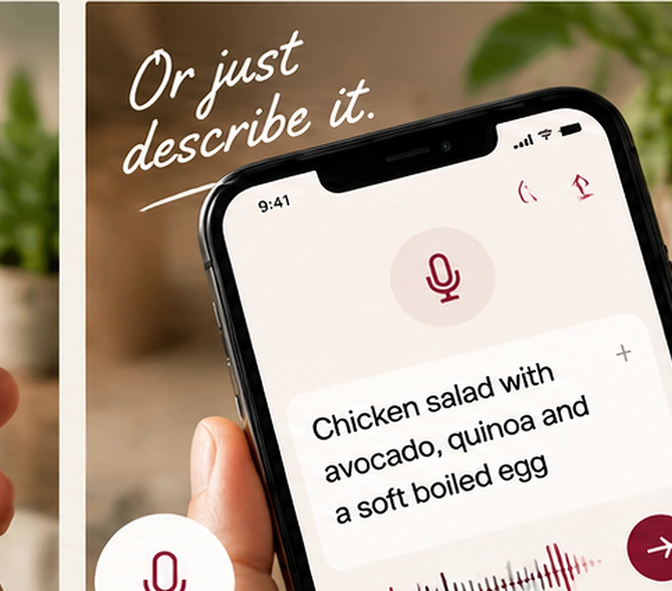 Natural-language food description on a phone